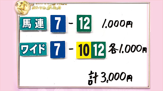 みんなのKEIBA みんなの夢馬券 井崎脩五郎 馬券画像