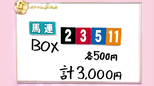 みんなのKEIBA みんなの夢馬券 井崎脩五郎 馬券画像
