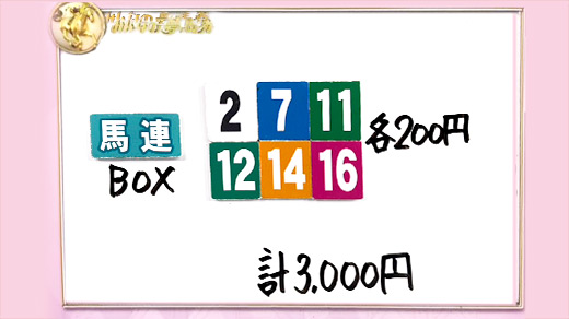 みんなのKEIBA みんなの夢馬券 井崎脩五郎 馬券画像
