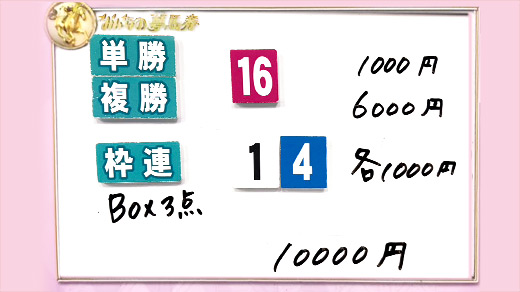 みんなのKEIBA みんなの夢馬券 細江純子 馬券画像