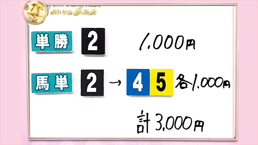 みんなのKEIBA みんなの夢馬券 井崎脩五郎 馬券画像