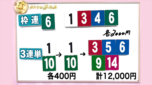 みんなのKEIBA みんなの夢馬券 細江純子 馬券画像
