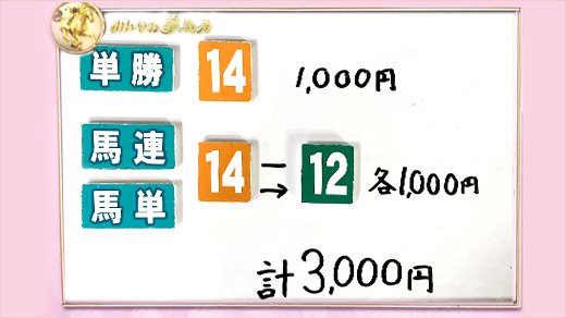 みんなのKEIBA みんなの夢馬券 井崎脩五郎 馬券画像
