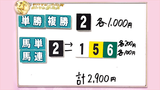 みんなのKEIBA みんなの夢馬券 井崎脩五郎 馬券画像