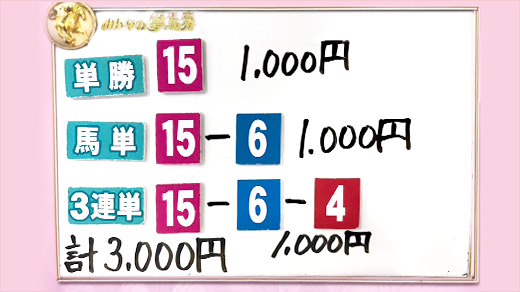 みんなのKEIBA みんなの夢馬券 井崎脩五郎 馬券画像