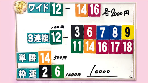 みんなのKEIBA みんなの夢馬券 細江純子 馬券画像