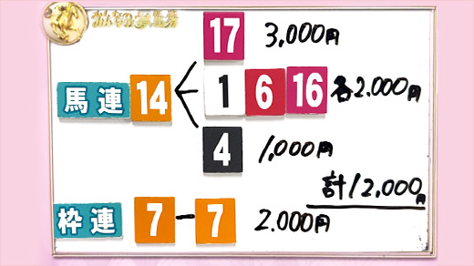 みんなのKEIBA みんなの夢馬券 井森美幸 馬券画像