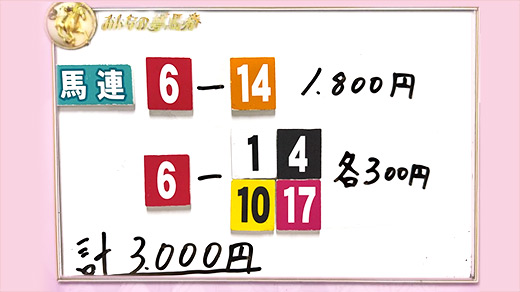 みんなのKEIBA みんなの夢馬券 井崎脩五郎 馬券画像