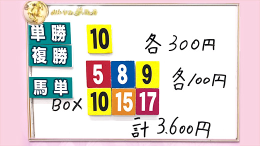 みんなのKEIBA みんなの夢馬券 井崎脩五郎 馬券画像