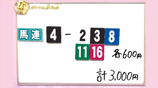 みんなのKEIBA みんなの夢馬券 井崎脩五郎 馬券画像