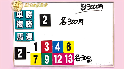 みんなのKEIBA みんなの夢馬券 井崎脩五郎 馬券画像