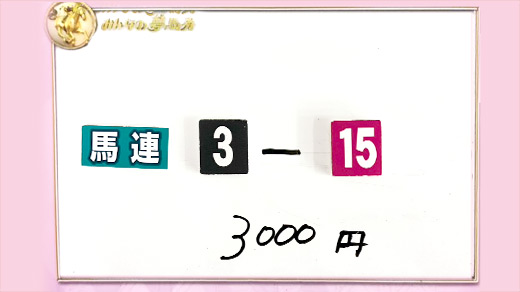 みんなのKEIBA みんなの夢馬券 井崎脩五郎 馬券画像