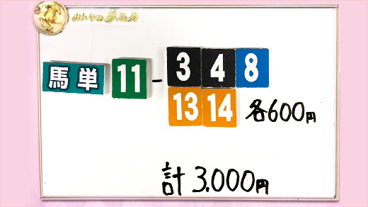 みんなのKEIBA みんなの夢馬券 井崎脩五郎 馬券画像