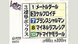 うまズキッ！ こじはるの３連単５頭BOX予想 京成杯