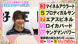 馬好王国 こじはるの３連単５頭BOX予想 東京新聞杯