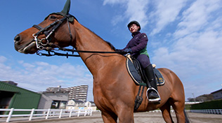 吉越奏詞選手（馬術）