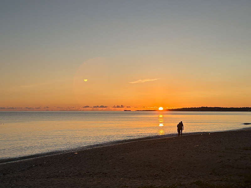 吉岡 希 Nozomu YOSHIOKA