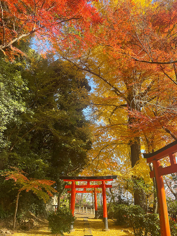 木科 雄登 Yuto KISHINA