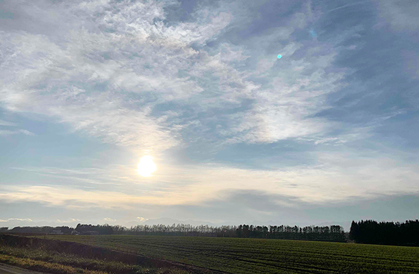 綺麗な空