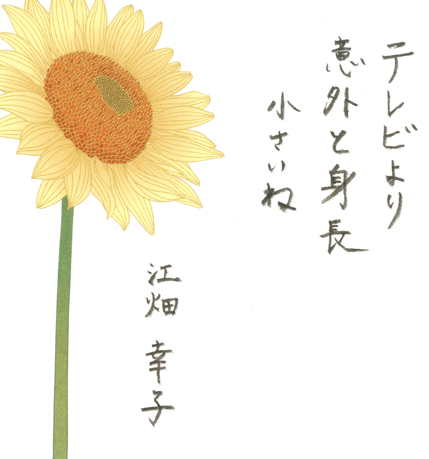 江畑幸子さん川柳