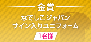 金賞 なでしこジャパンサイン入りユニフォーム