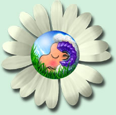 camomile