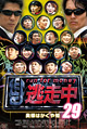 dvd29