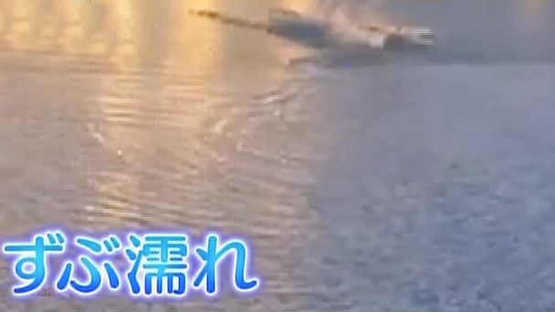 奇跡体験！アンビリバボー：仰天！激カワアニマル大集合！ - フジテレビ