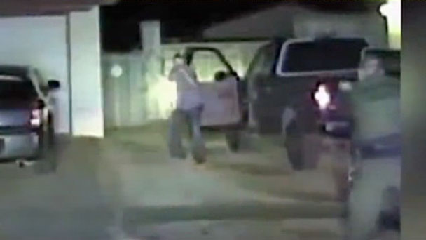 奇跡体験 アンビリバボー アニマル映像sp フジテレビ