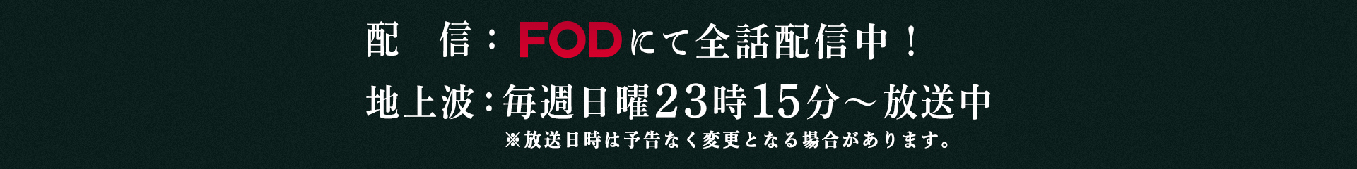 毎週日曜23時15分～放送中