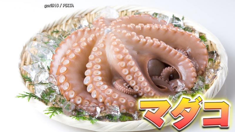 水曜企画永尾亜子アナリポート 旬な食材を一流料理人ならどう料理する 今日の食材は マダコ グッディ ニュース フジテレビ
