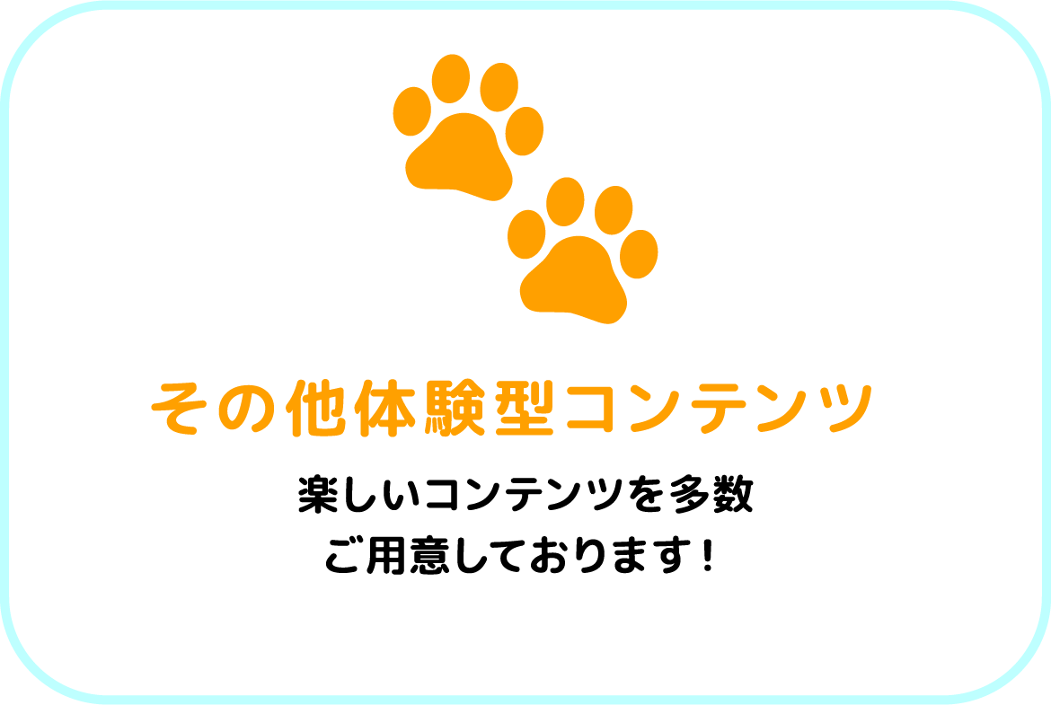 その他体験型コンテンツ。楽しいコンテンツを多数ご用意しております！
