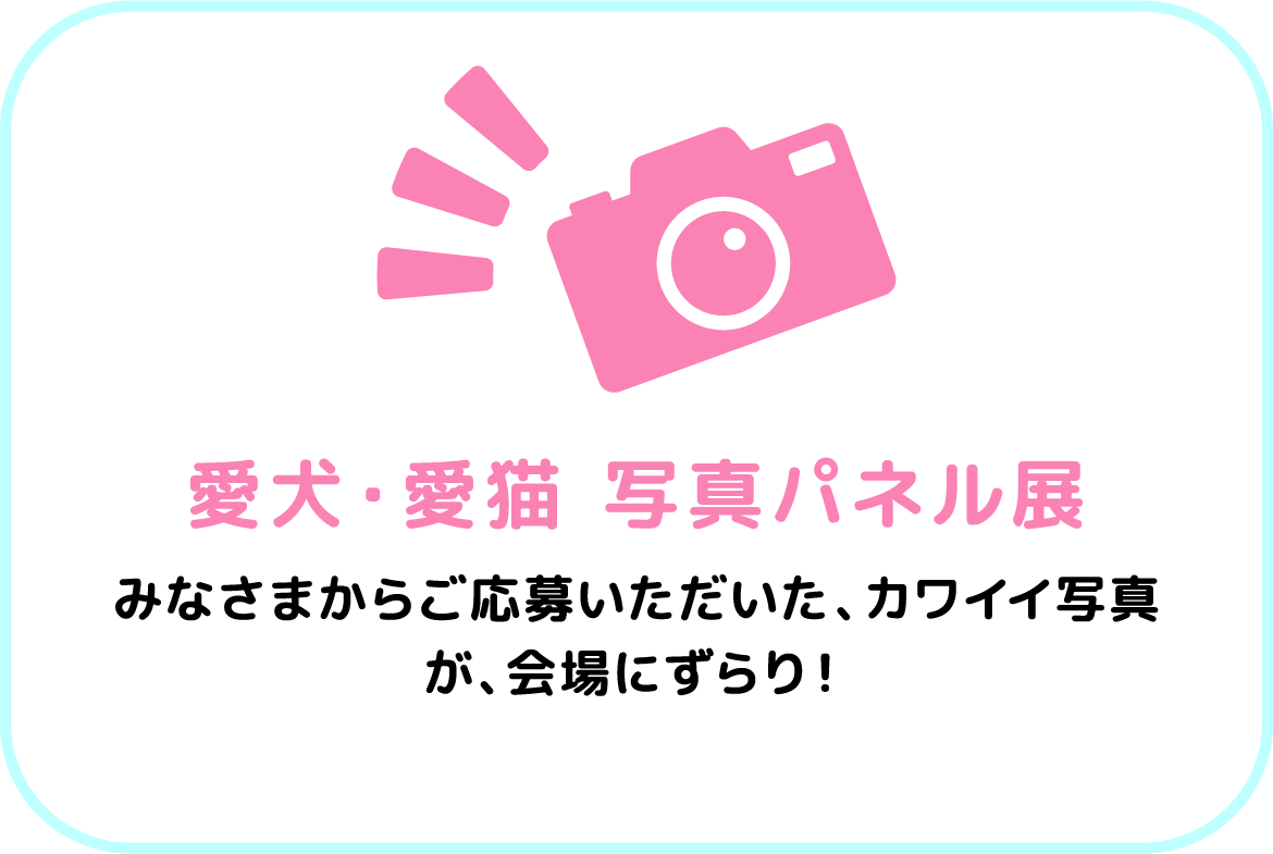 愛犬・愛猫 写真パネル展。みなさまからご応募いただいた、カワイイ写真が、会場にずらり！