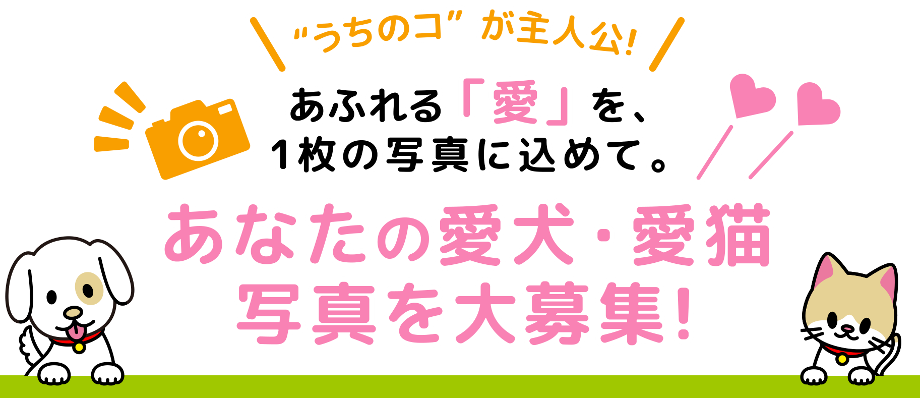 “うちのコ”が主人公! あふれる「愛」を、1枚の写真に込めて。あなたの愛犬・愛猫写真を大募集!
