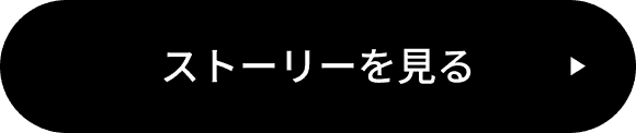 ストーリーを見る